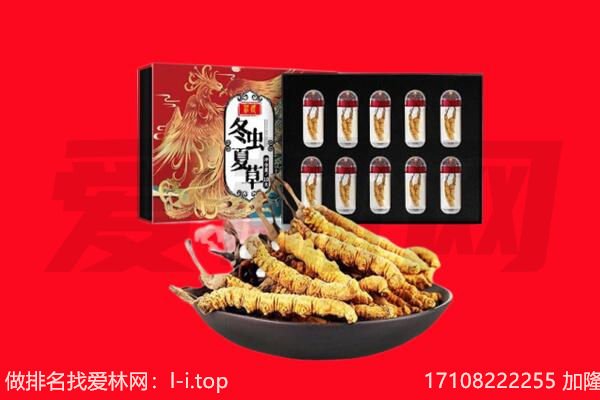 金林区回收虫草.jpg